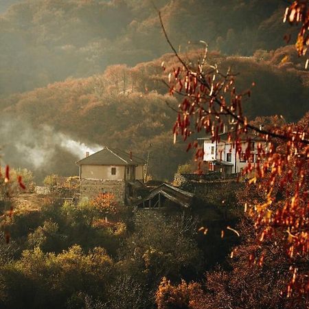 Yancheva Guest House Delchevo 外观 照片