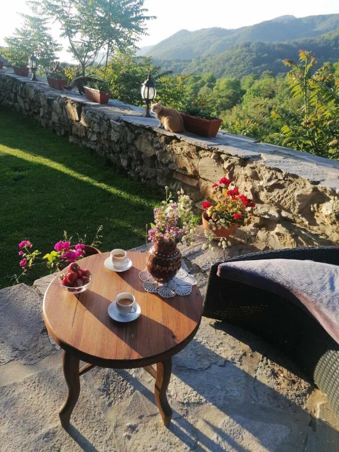 Yancheva Guest House Delchevo 外观 照片