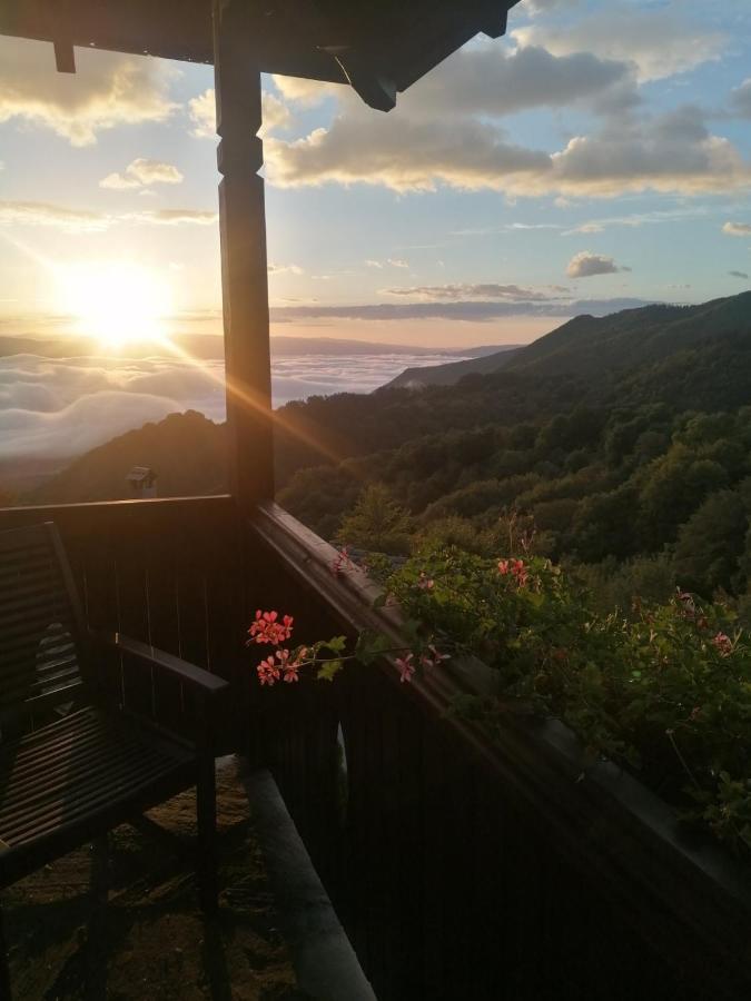 Yancheva Guest House Delchevo 外观 照片